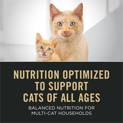 Purina Pro Plan paté de salmón, fácil de servir en la lata.