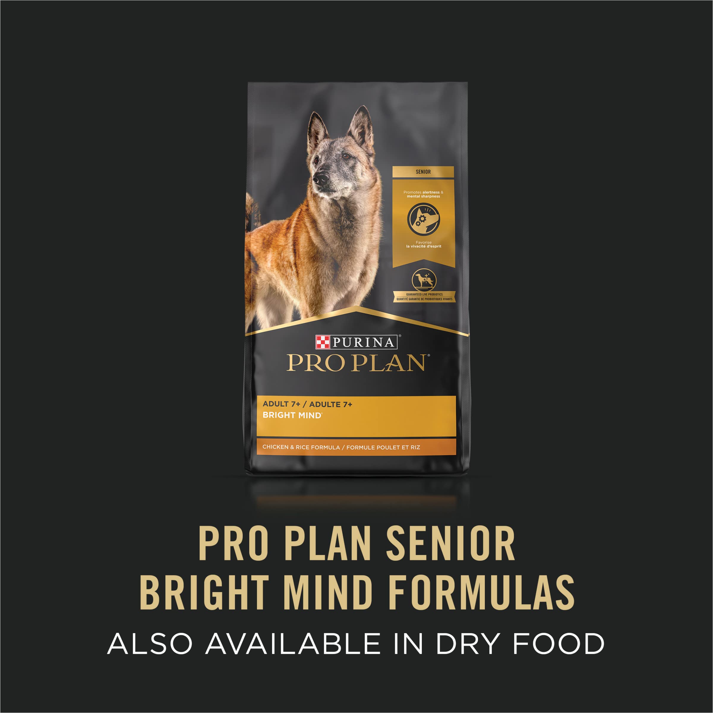 Purina Pro Plan Senior Bright Mind antioxidantes para un sistema inmune equilibrado