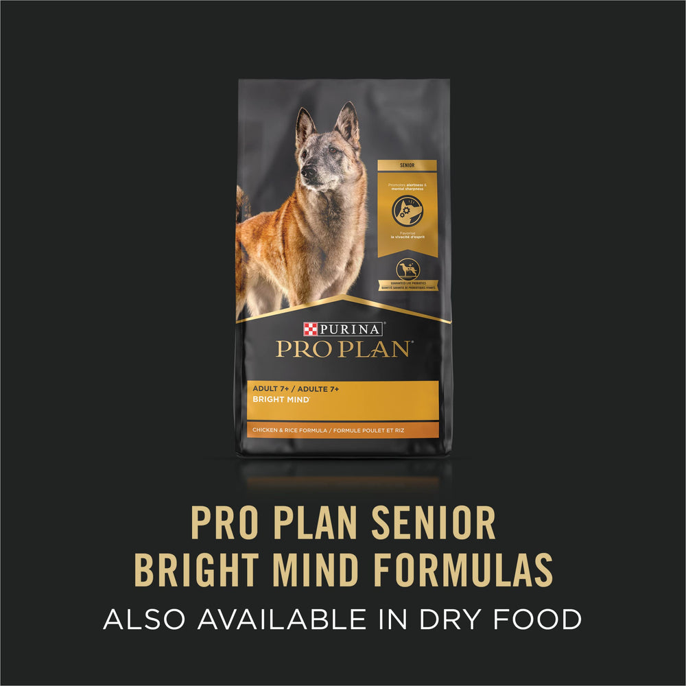 Purina Pro Plan Senior Bright Mind antioxidantes para un sistema inmune equilibrado
