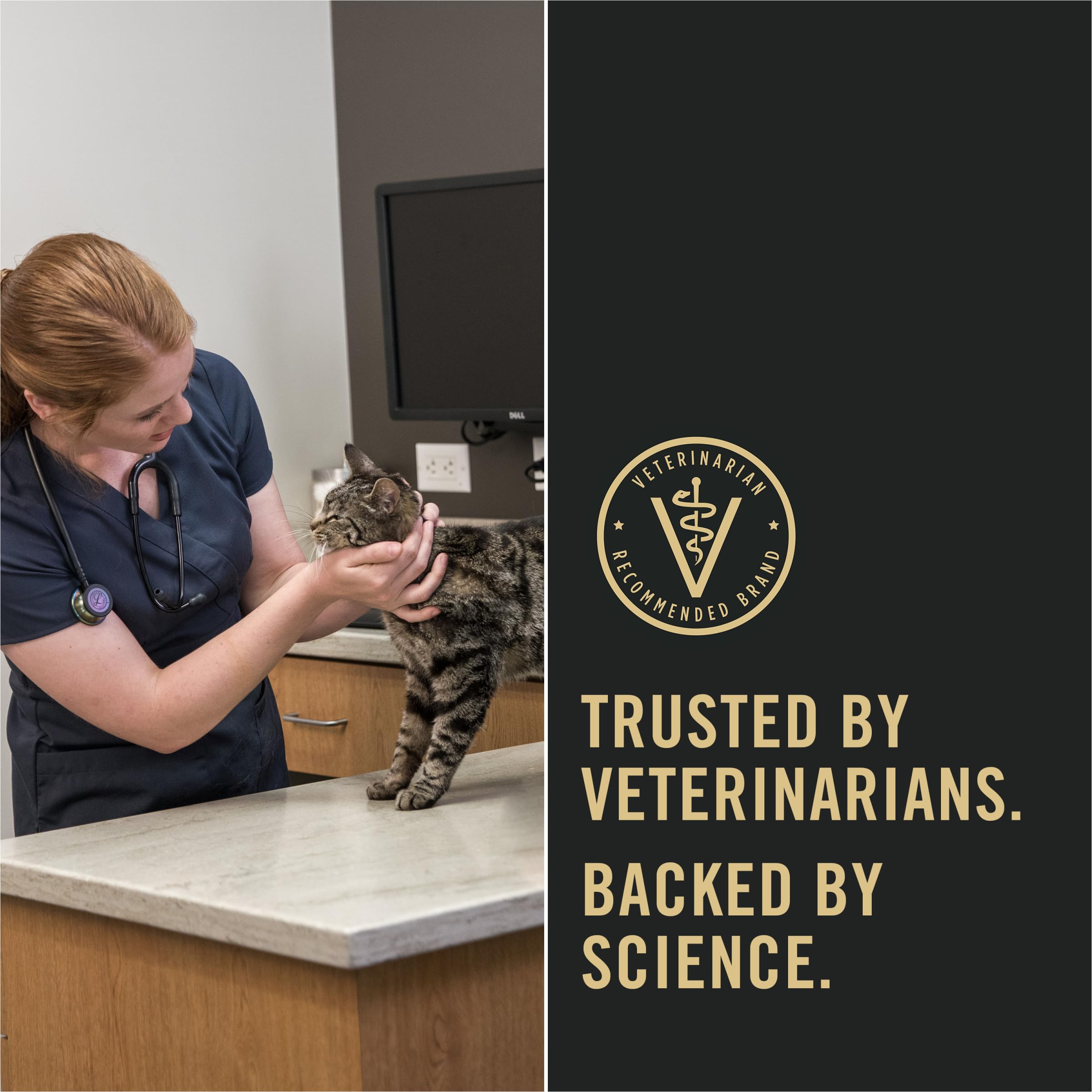 Purina Pro Plan Senior Gato, fibra prebiótica natural para salud intestinal.