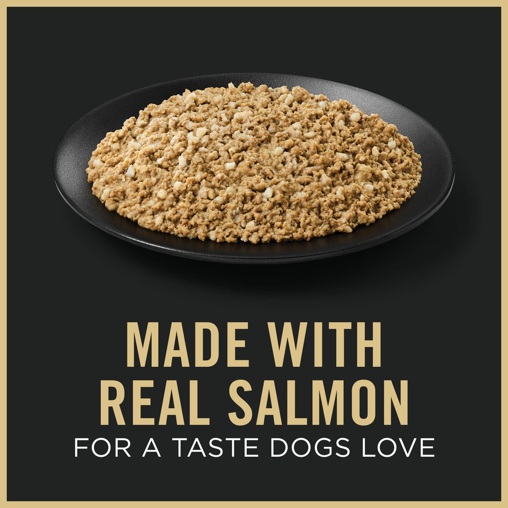 Purina Pro Plan Senior salmón y arroz, textura suave y sabor agradable.