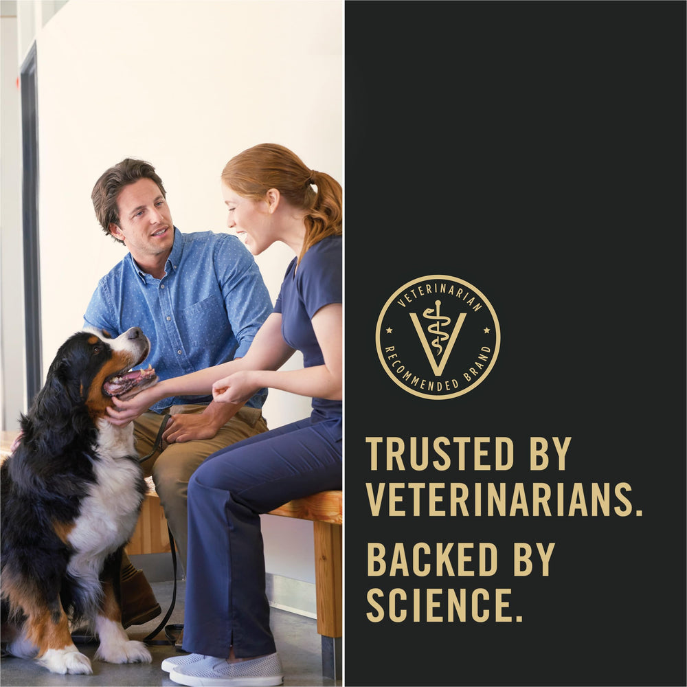 Purina Pro Plan Senior para perros mayores, dieta completa para apoyar la salud.