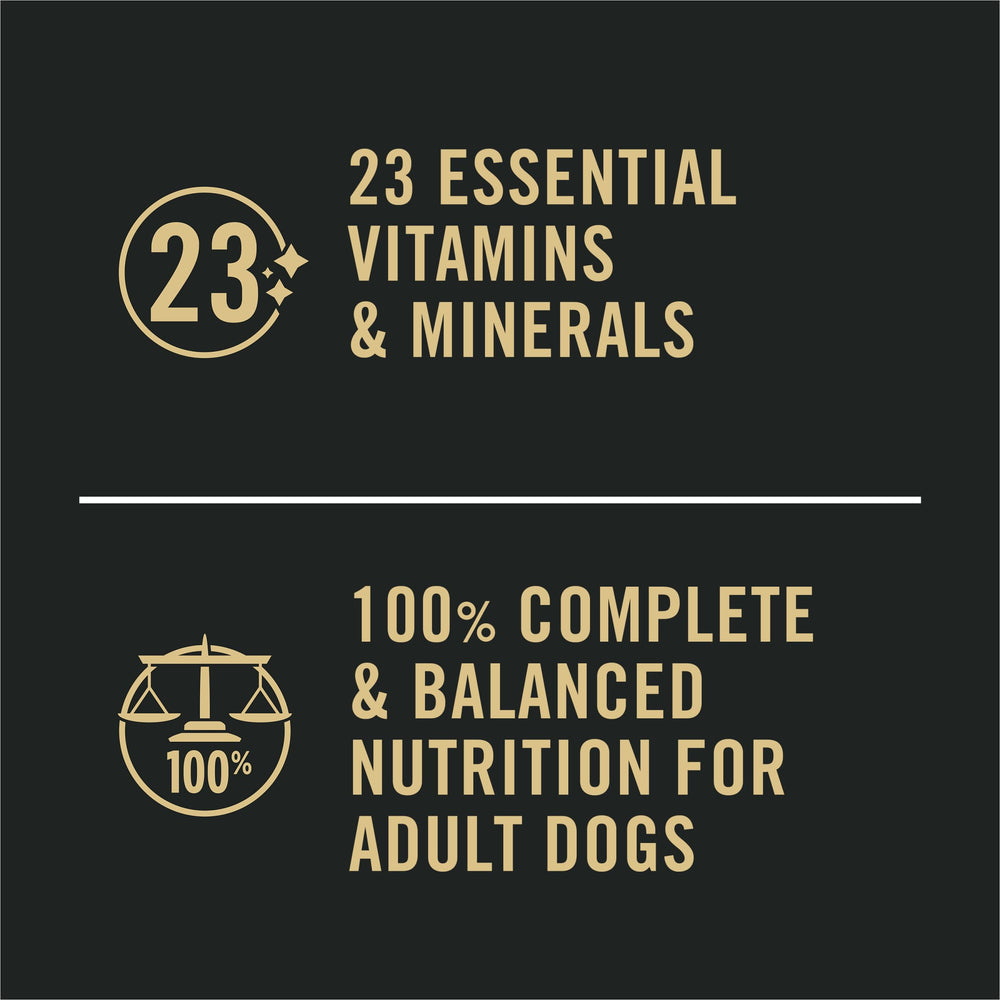 Purina Pro Plan paté de salmón y arroz, sin trigo ni soja