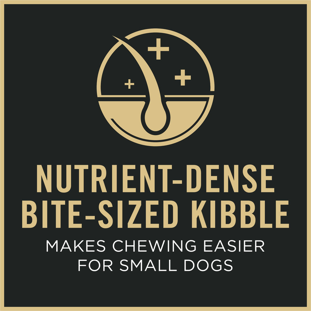Purina Pro Plan Small Breed 7 Plus tazón con croquetas para razas pequeñas