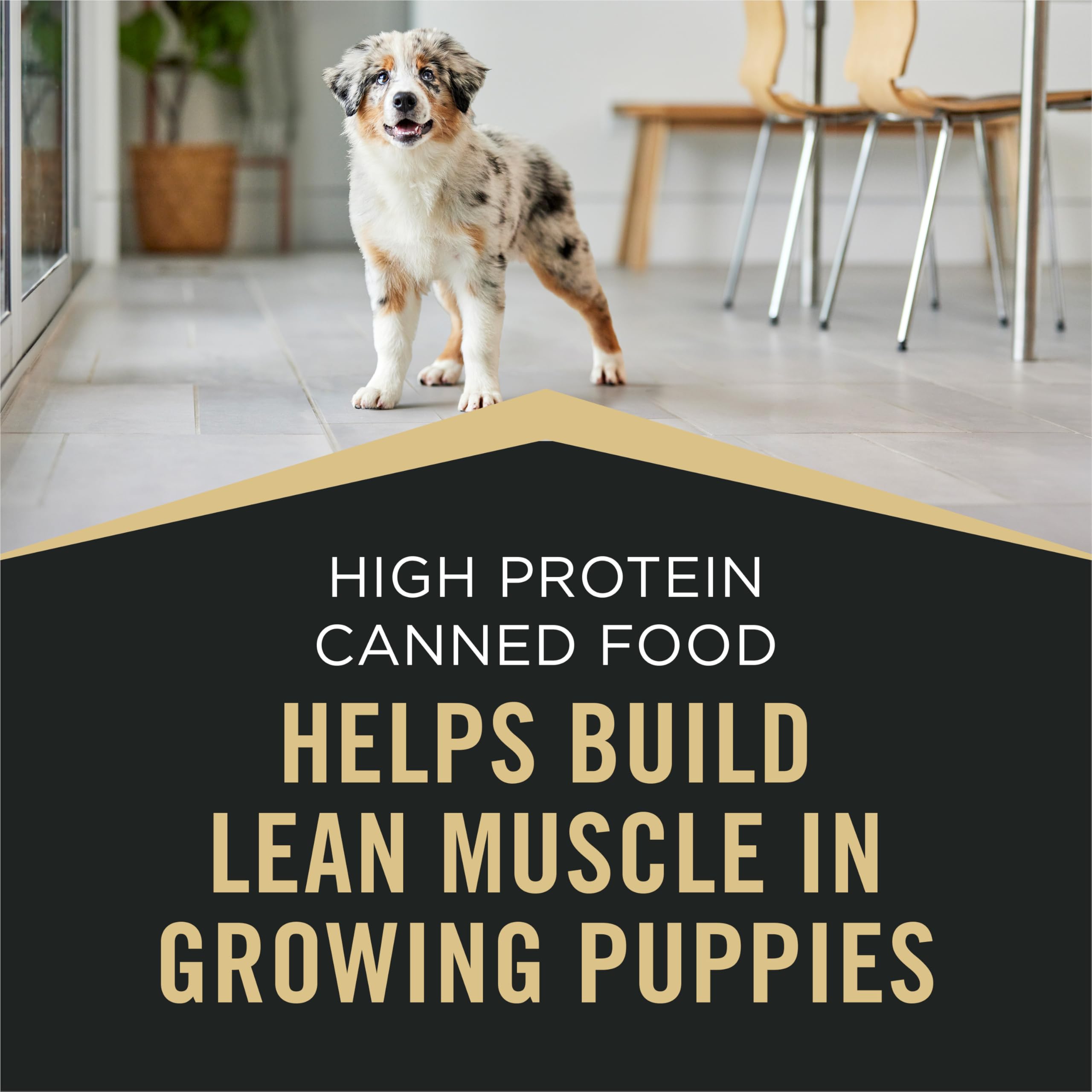 Purina Pro Plan Sport, dha para desarrollo cerebral y visión durante el crecimiento.