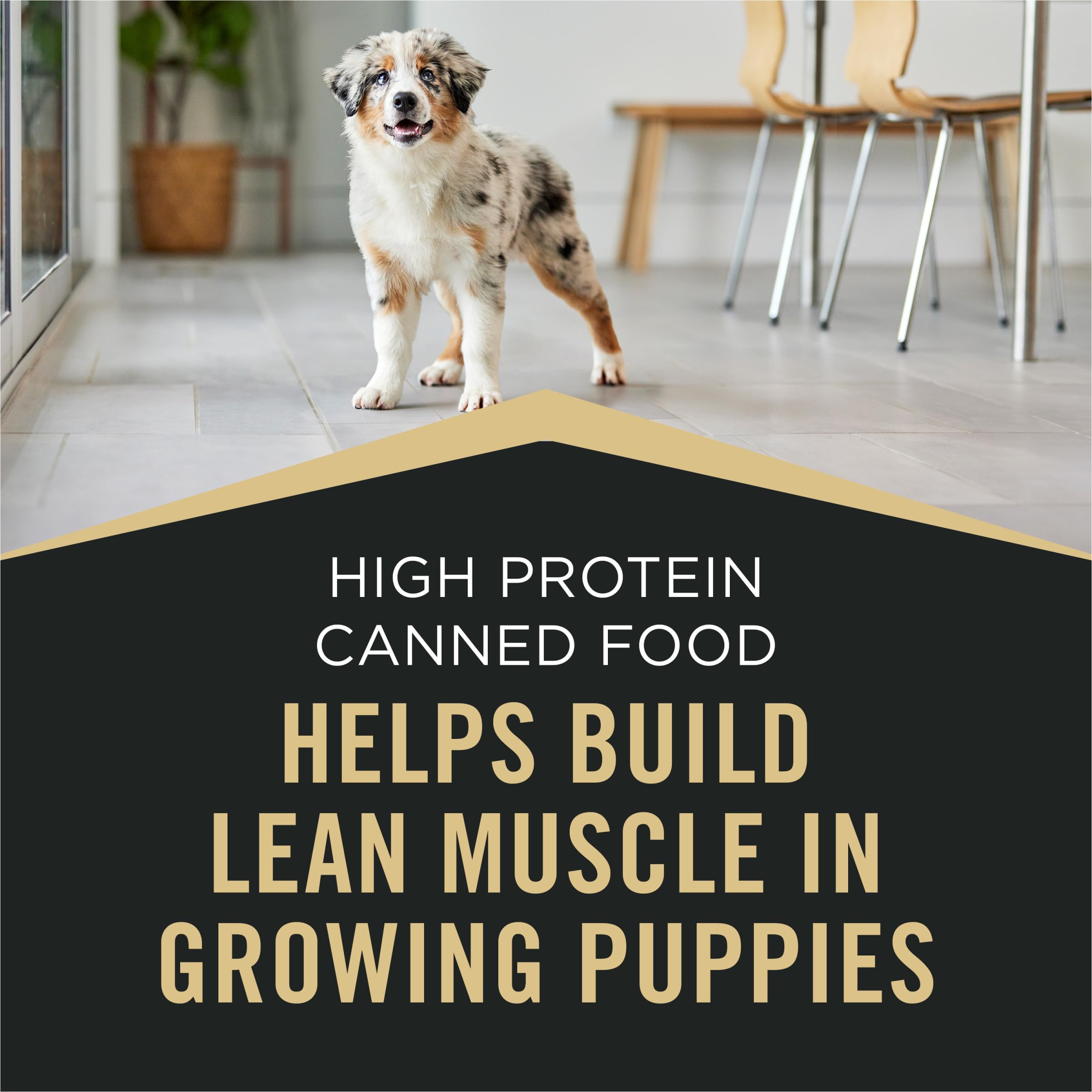 Purina Pro Plan Sport, DHA para desarrollo cerebral y visión en cachorros