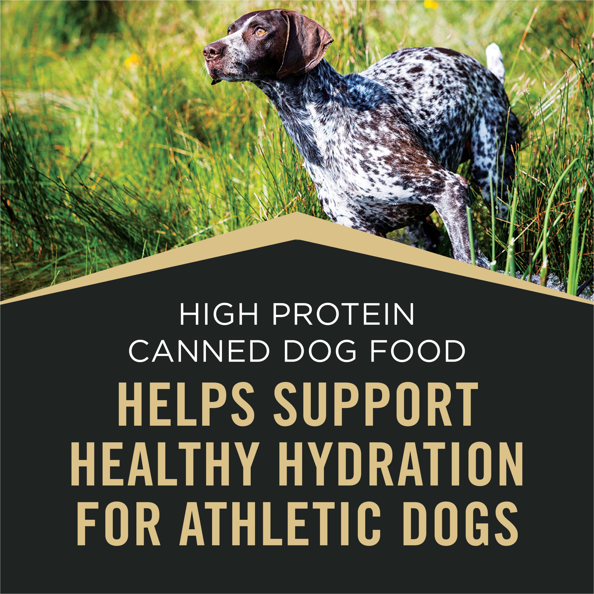Purina Pro Plan Sport 23 vitaminas y nutrientes en cada porción