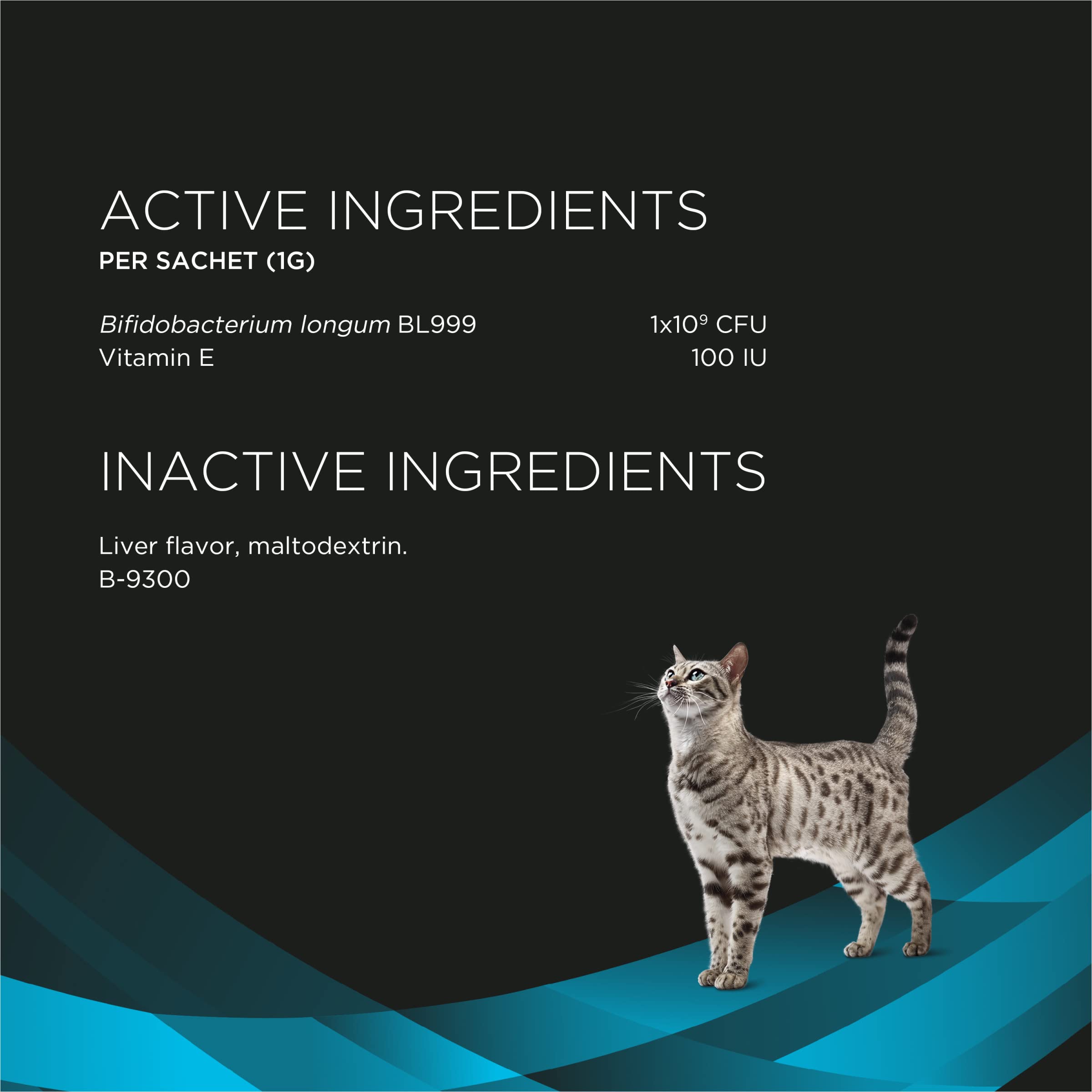Textura de polvo de probióticos para uso diario en gatos