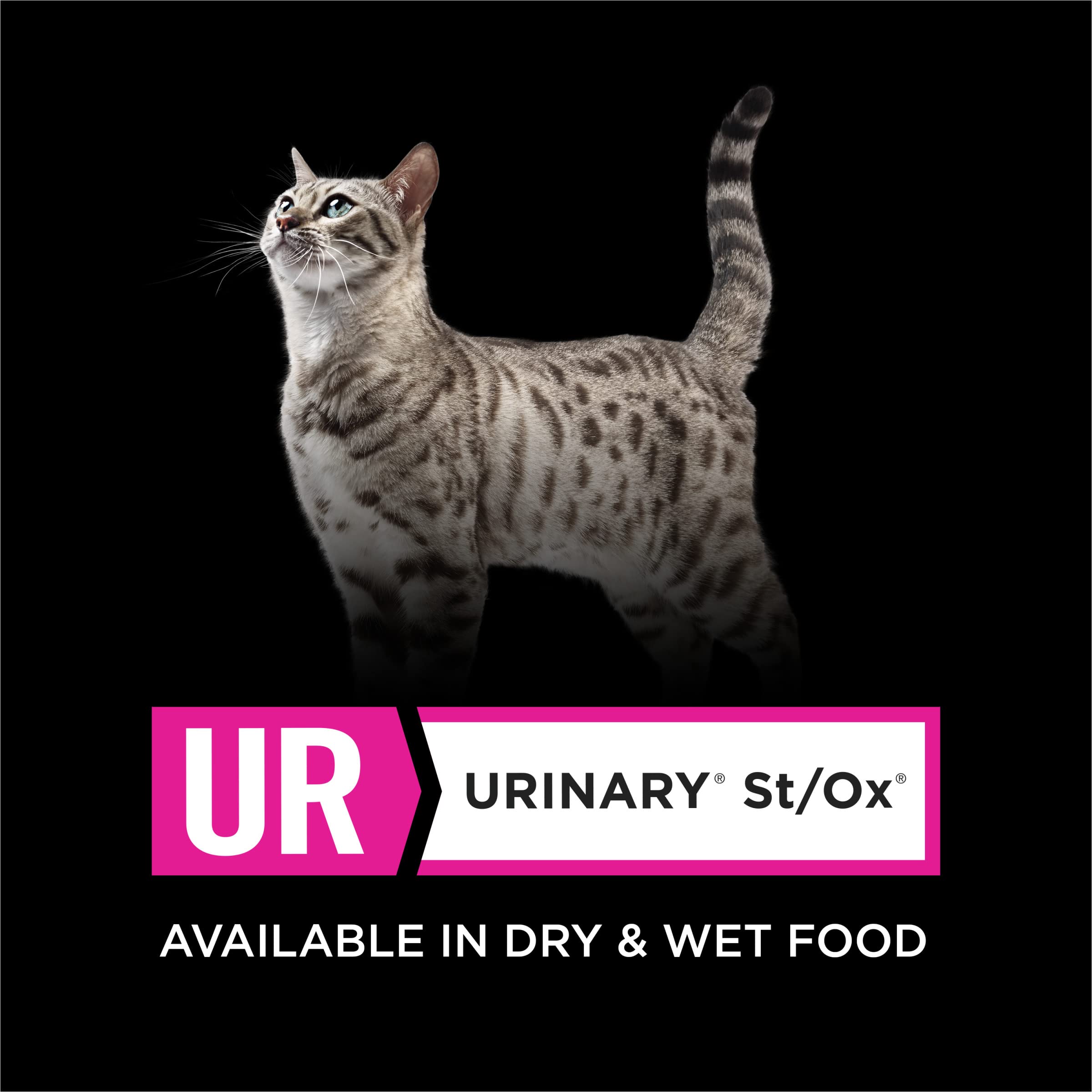 Purina Pro Plan UR St/Ox, ingredientes clave, proteína de alta calidad.