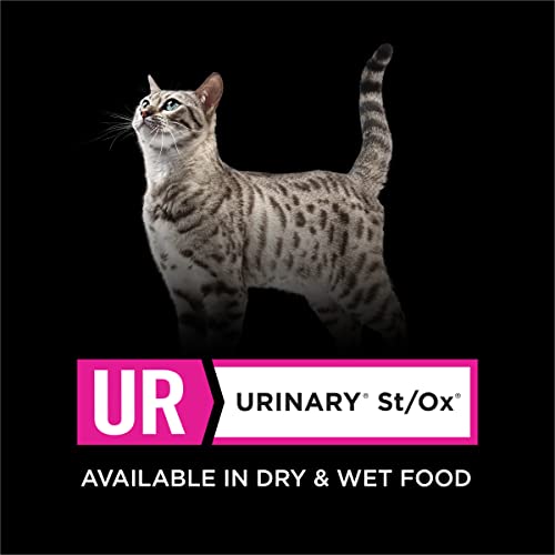 Purina Pro Plan UR, sabor sabroso, ideal para gatos que disfrutan la salsa.