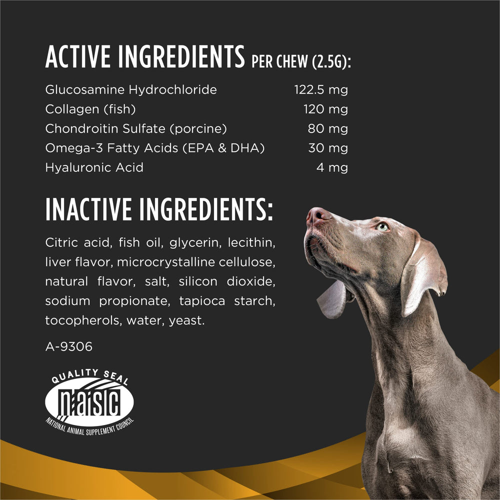 Purina Pro Plan Veterinary cartílago sano para perro pequeño durante la actividad diaria.