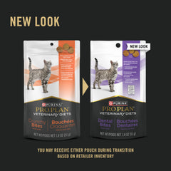 Purina Pro Plan Veterinary Diets Dental Bites: gato saboreando bocado de hígado