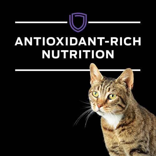 Purina Pro Plan Veterinary Diets DM, fórmula creada por nutricionistas y veterinarios.