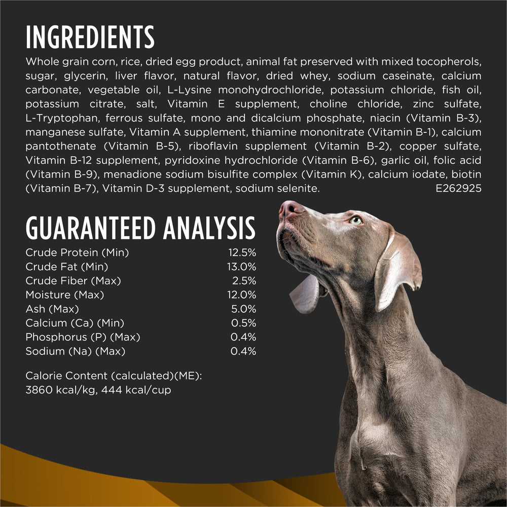 Proteína restringida en NF para las necesidades renales del perro.