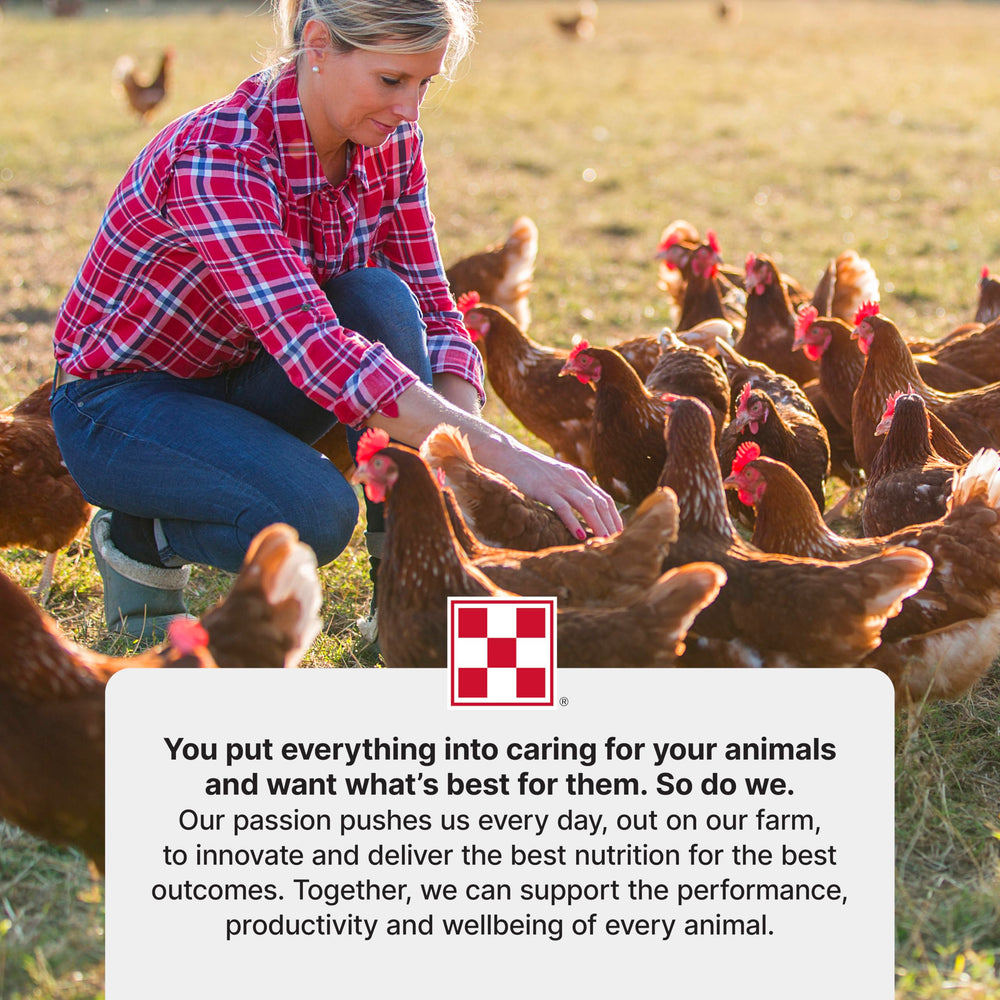 Envase práctico de Purina Start and Grow de 5 lb para almacenar.