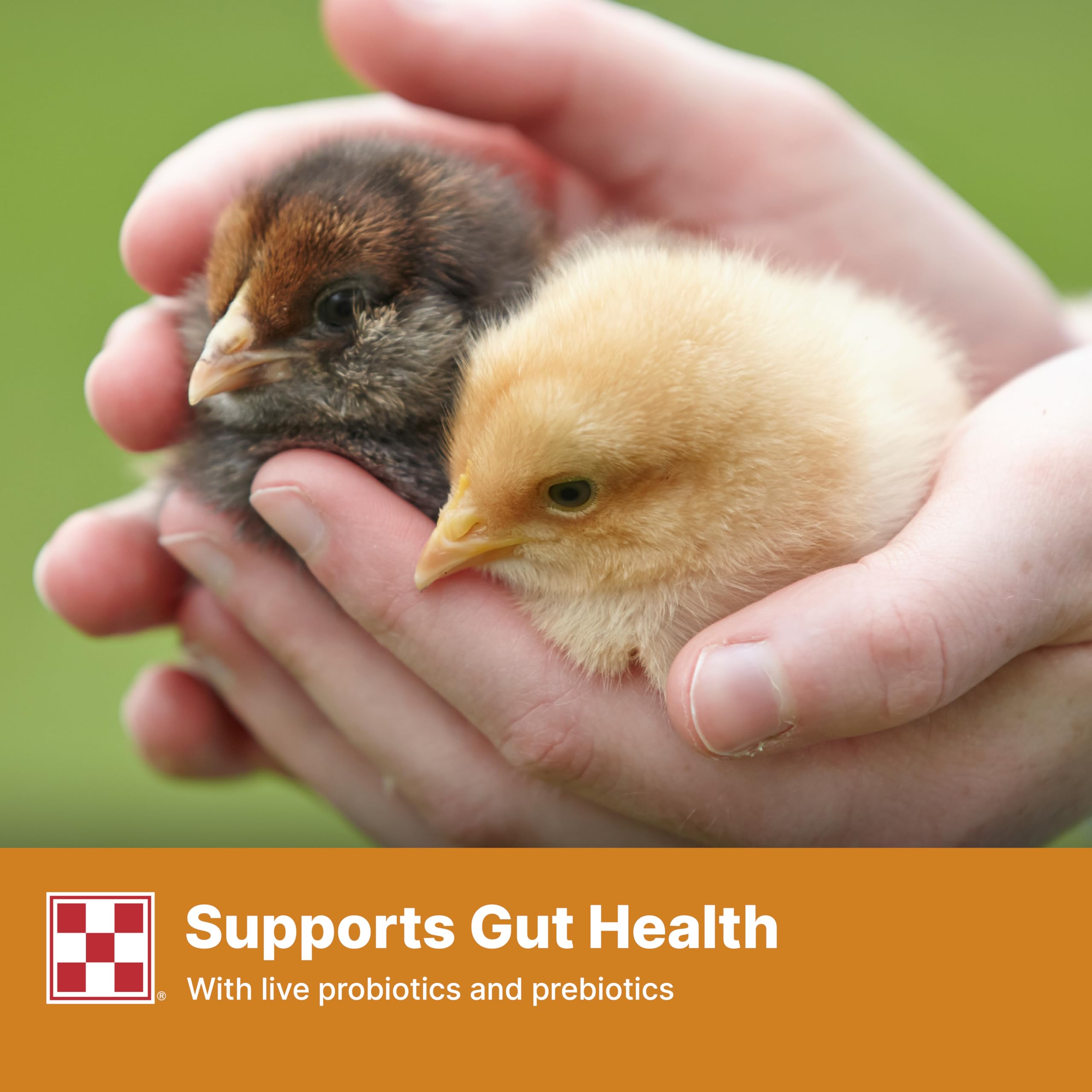 Purina Start and Grow sin medicación para crianza responsable.