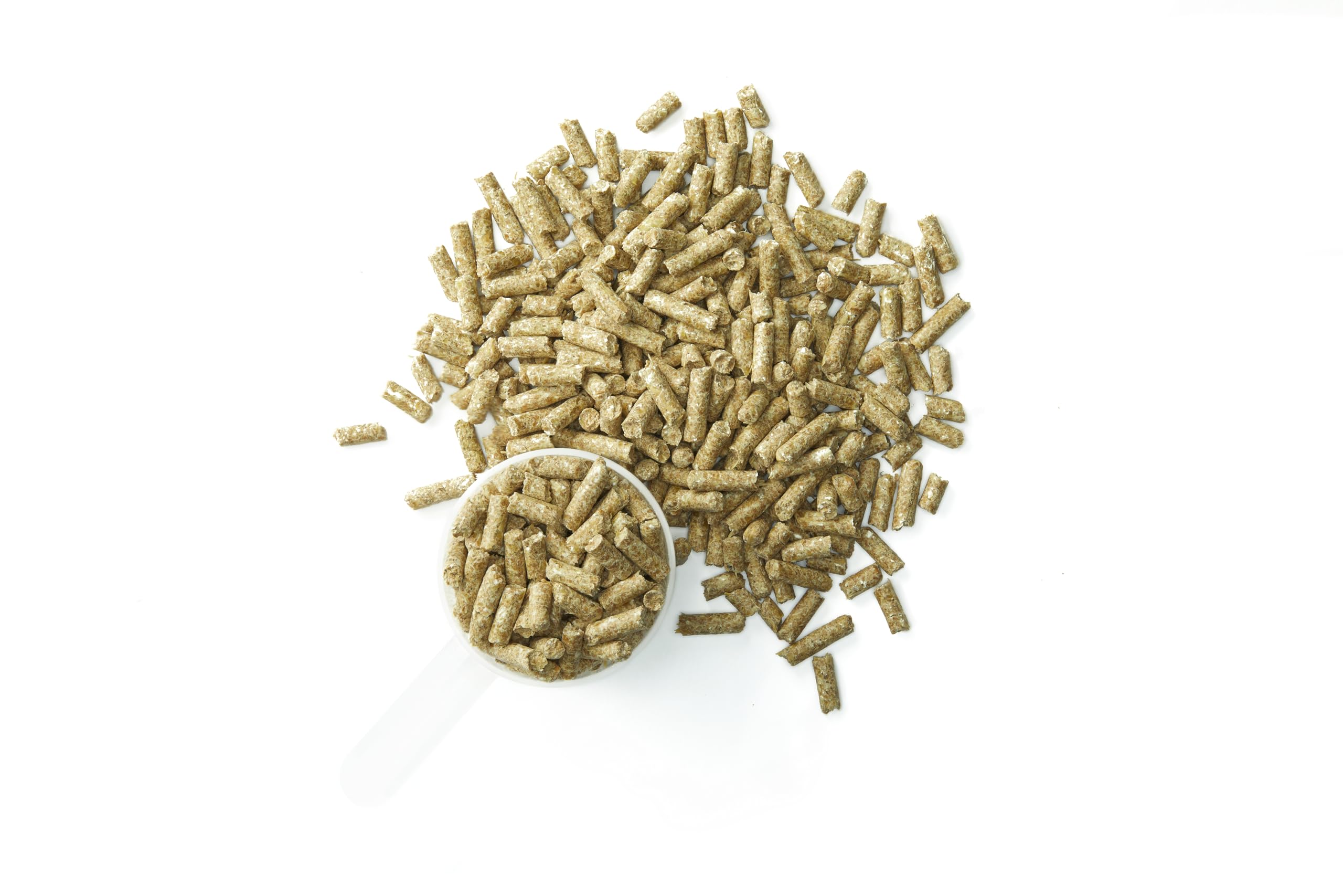 Purina Systemiq Probiotic caballo durante ejercicio, posible apoyo a recuperación.
