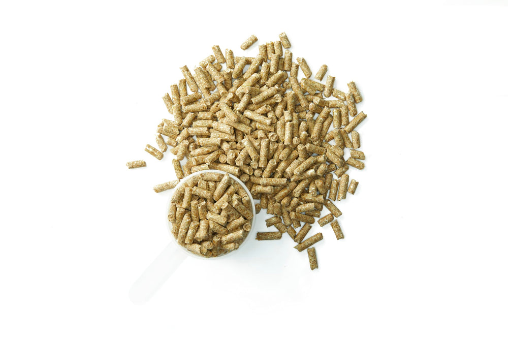 Purina Systemiq Probiotic caballo durante ejercicio, posible apoyo a recuperación.