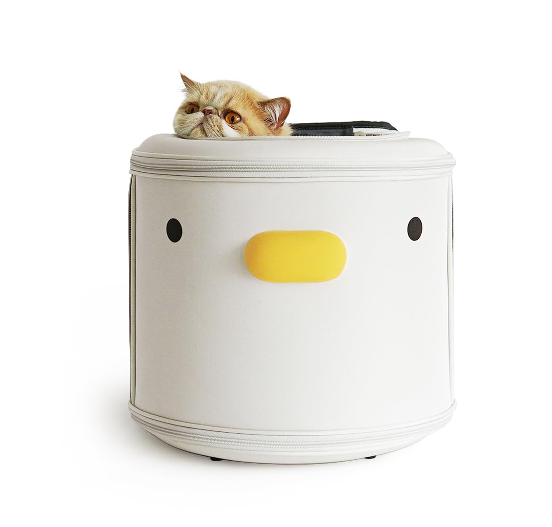 PURROOM Mochila transportín para gatos, frente cerrado, ideal para viajar con seguridad