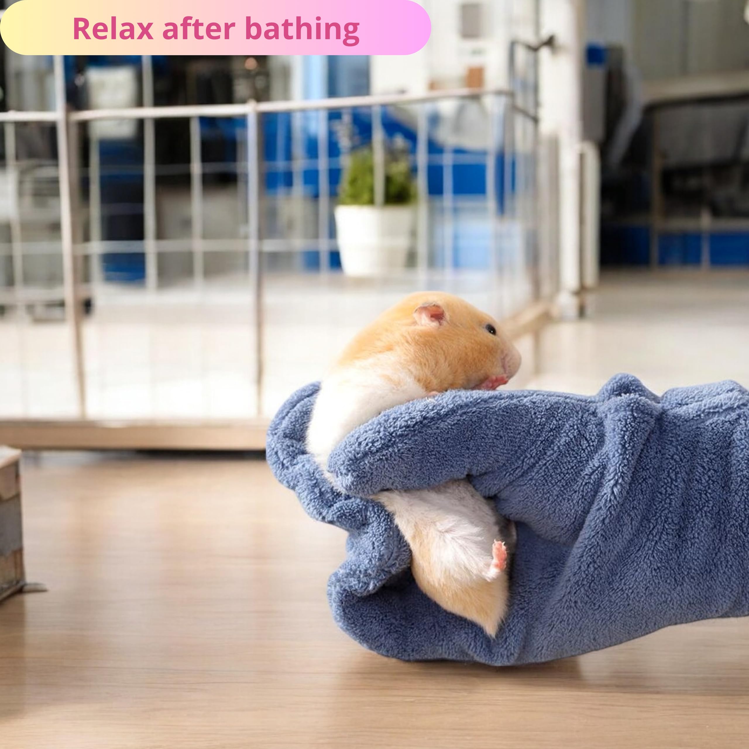 Higiene diaria PurrrfectionPet para animales pequeños como hamster y conejo.