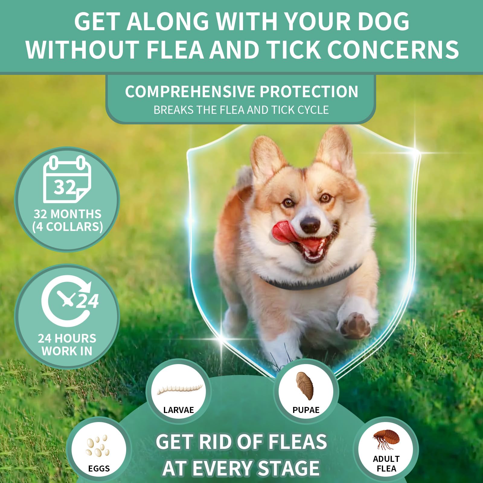 Cierre metálico resistente del collar Puyrzoe para mayor seguridad.
