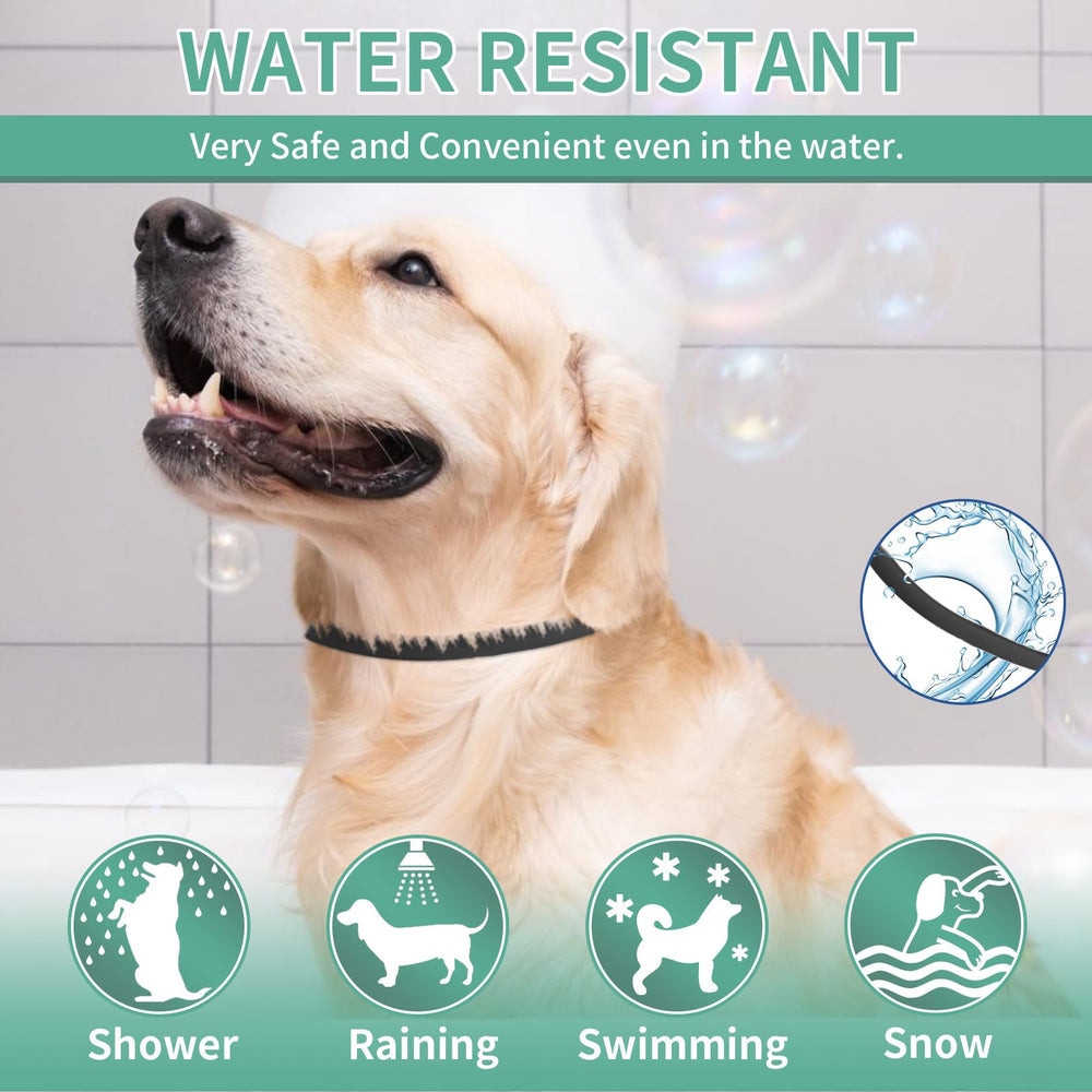 Protección duradera de meses con el collar Puyrzoe para perros.