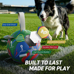 QDAN pelota de 7 pulgadas, tamaño ideal para razas medianas y grandes.