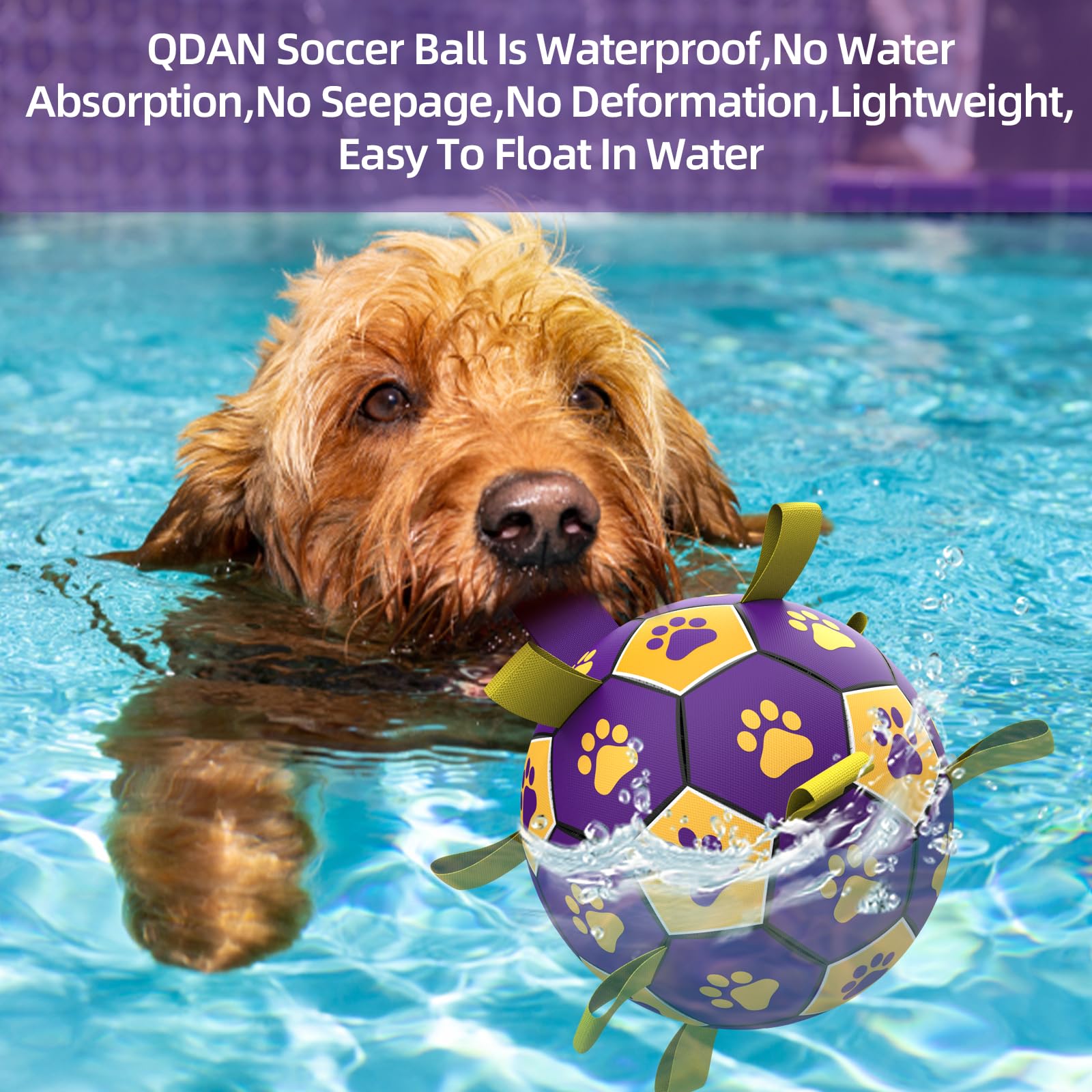 QDAN balón para perros antimordidas, más resistente a mordiscos y juego intenso.