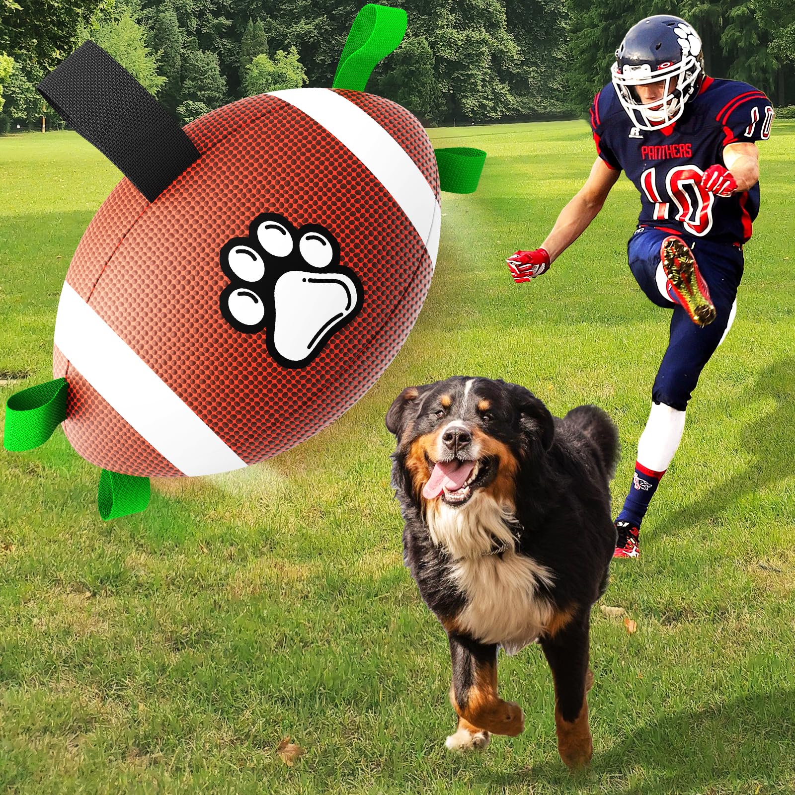 QDAN bola de entrenamiento para paseos y juegos supervisados.