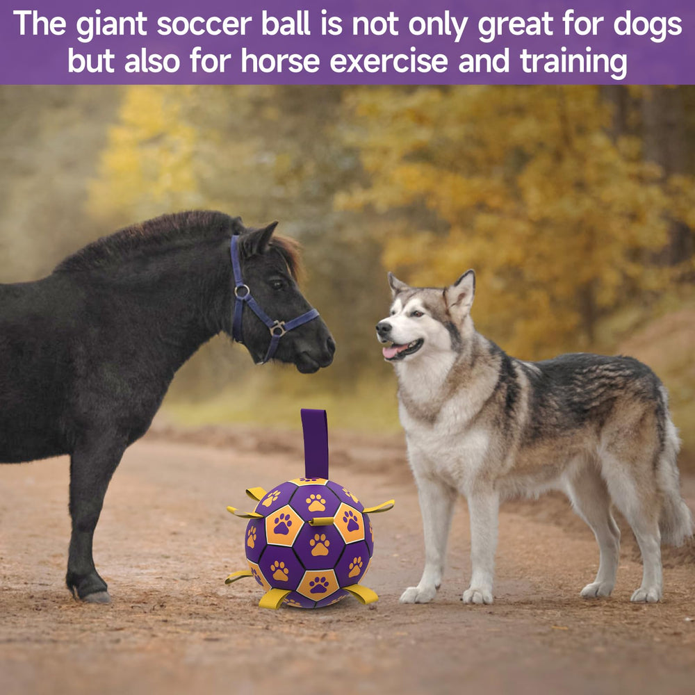 QDAN bola-futbol-perro-grande-para-piscina, diversión en agua segura.
