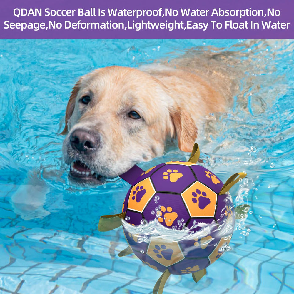 QDAN bomba-incluida-bola-perro-grande, inflado rápido y sencillo.