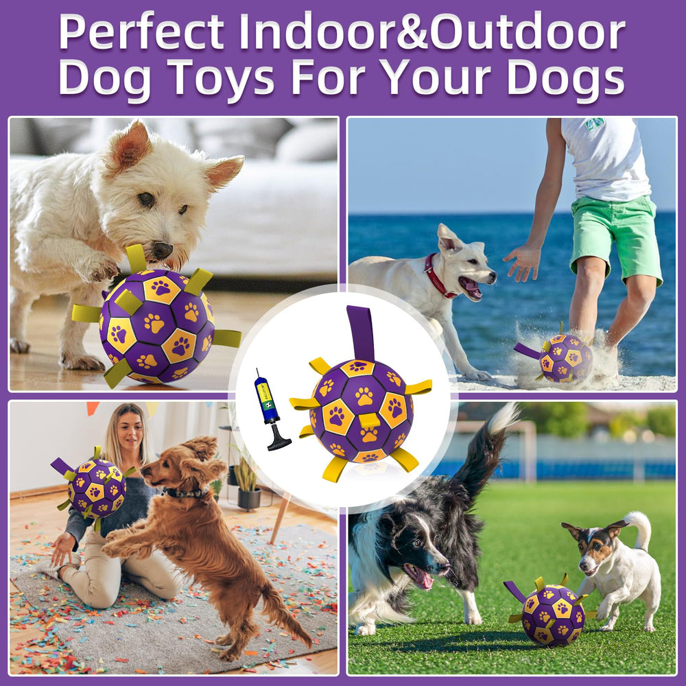 QDAN juego interactivo para perros en casa, mantiene a tu compañero activo y concentrado.