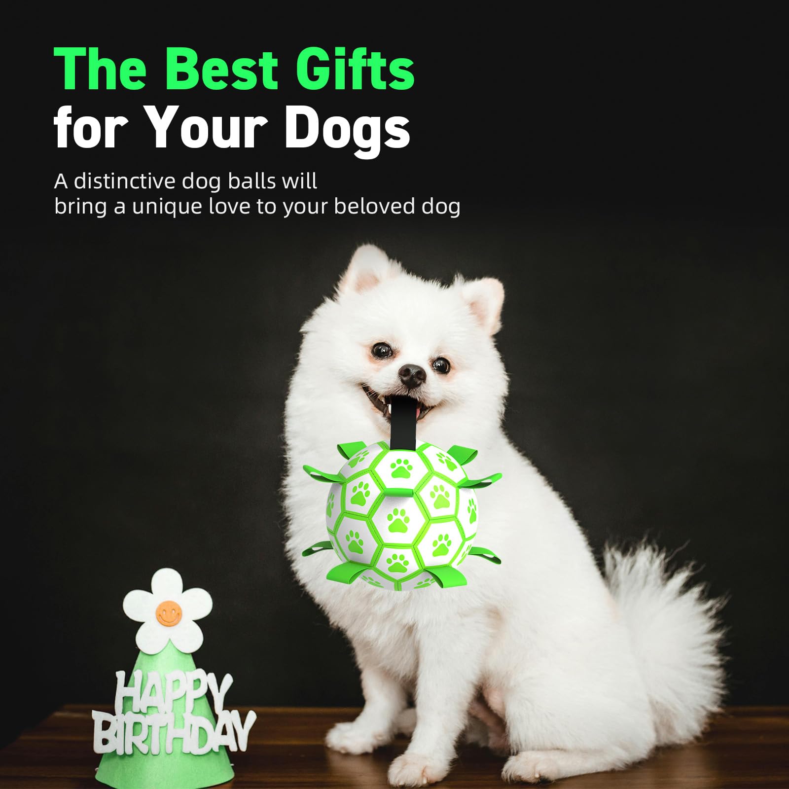 QDAN juguete acuático ligero para perros, ideal para agua