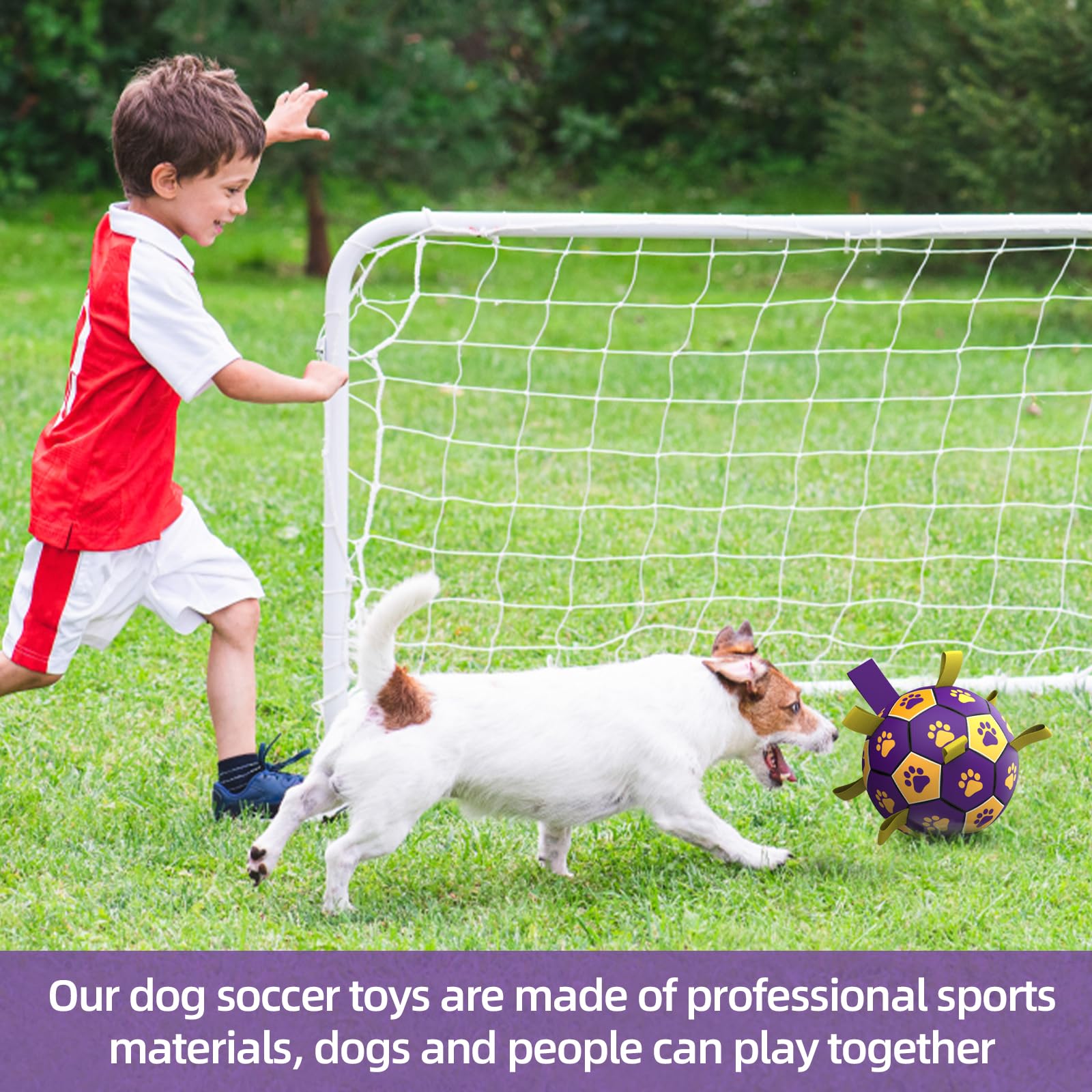 QDAN juguete de entrenamiento para perros, ideal para reforzar órdenes y ejercicios.