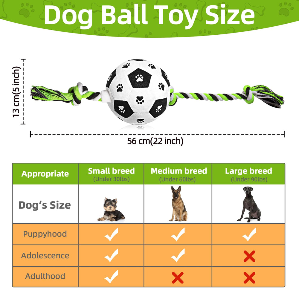 QDAN detalle de huellas de patas en la pelota