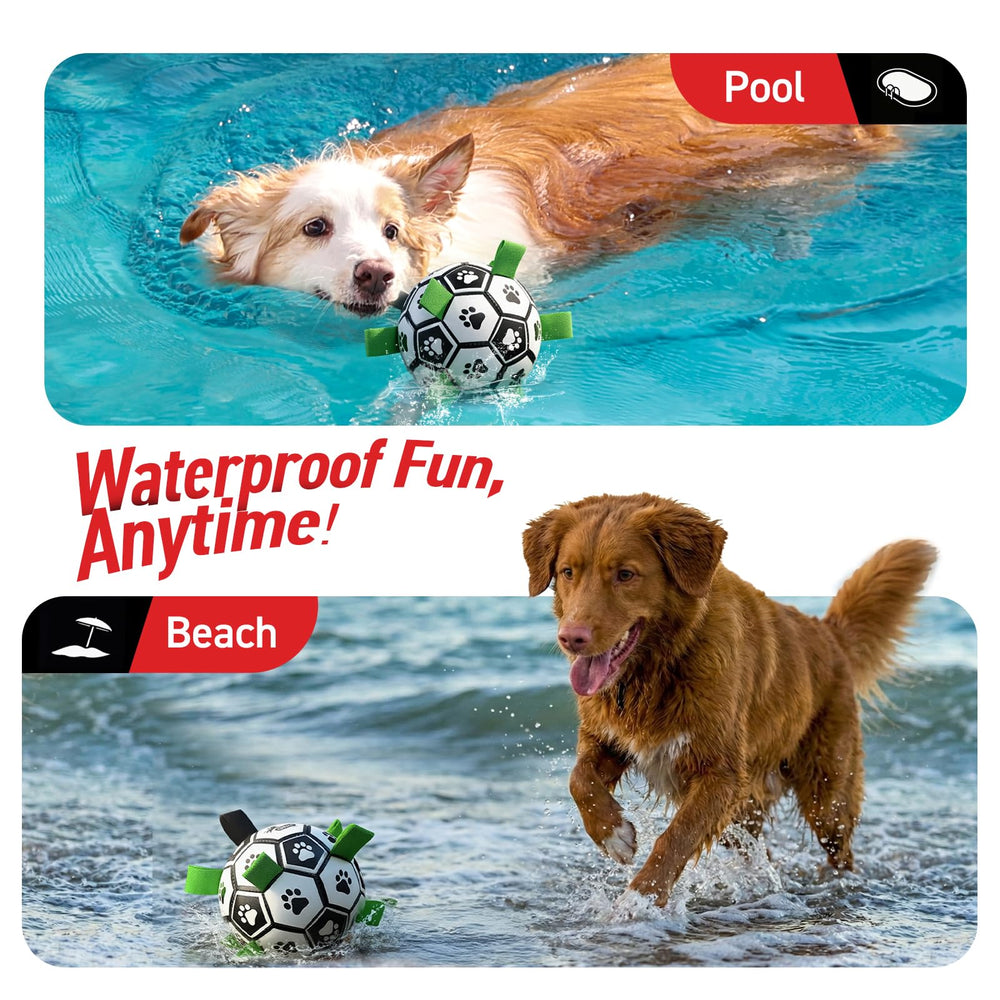 QDAN bola canina para piscina y playa, ligera y duradera