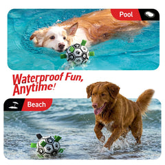 QDAN bola canina para piscina y playa, ligera y duradera