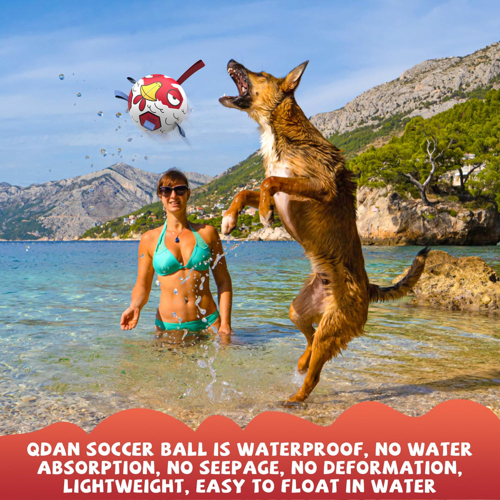 QDAN: juguete deportivo para exterior, ideal para juegos interactivos.