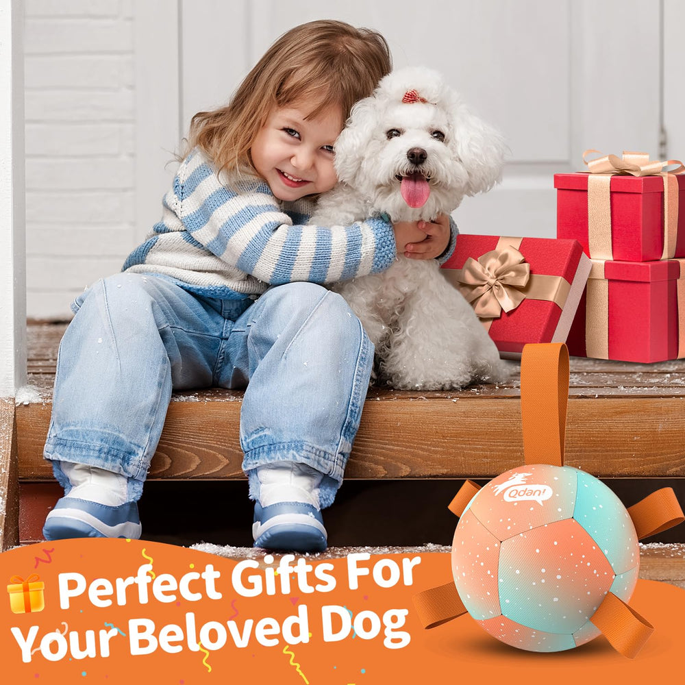 QDAN pelota arcoíris naranja para perros pequeños, diseño vibrante que mejora la visibilidad.