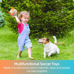 QDAN pelota de entrenamiento para perros, juego interior y exterior para mantener su interés.