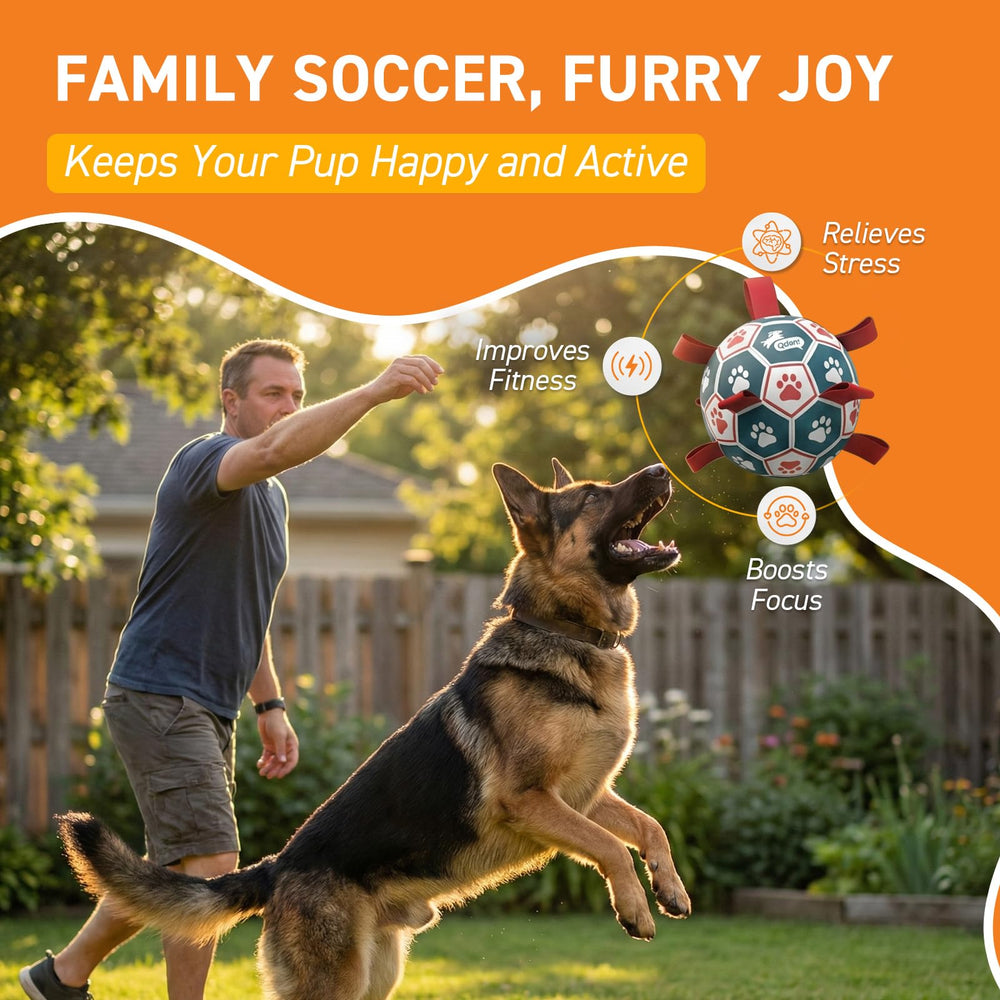 QDAN Pelota extra grande de 9 pulgadas para perros grandes.