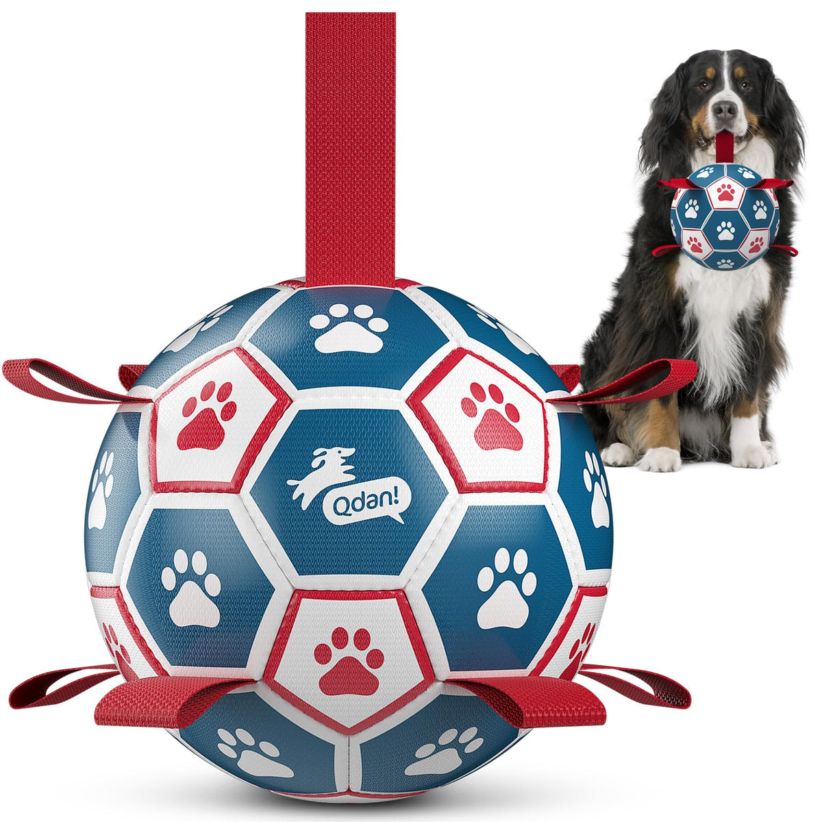 QDAN Pelota de fútbol interactiva con correas para perros, ideal para juegos de tirón.