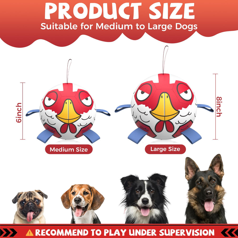 QDAN: pelota para agua para perros, flota y se seca rápido.