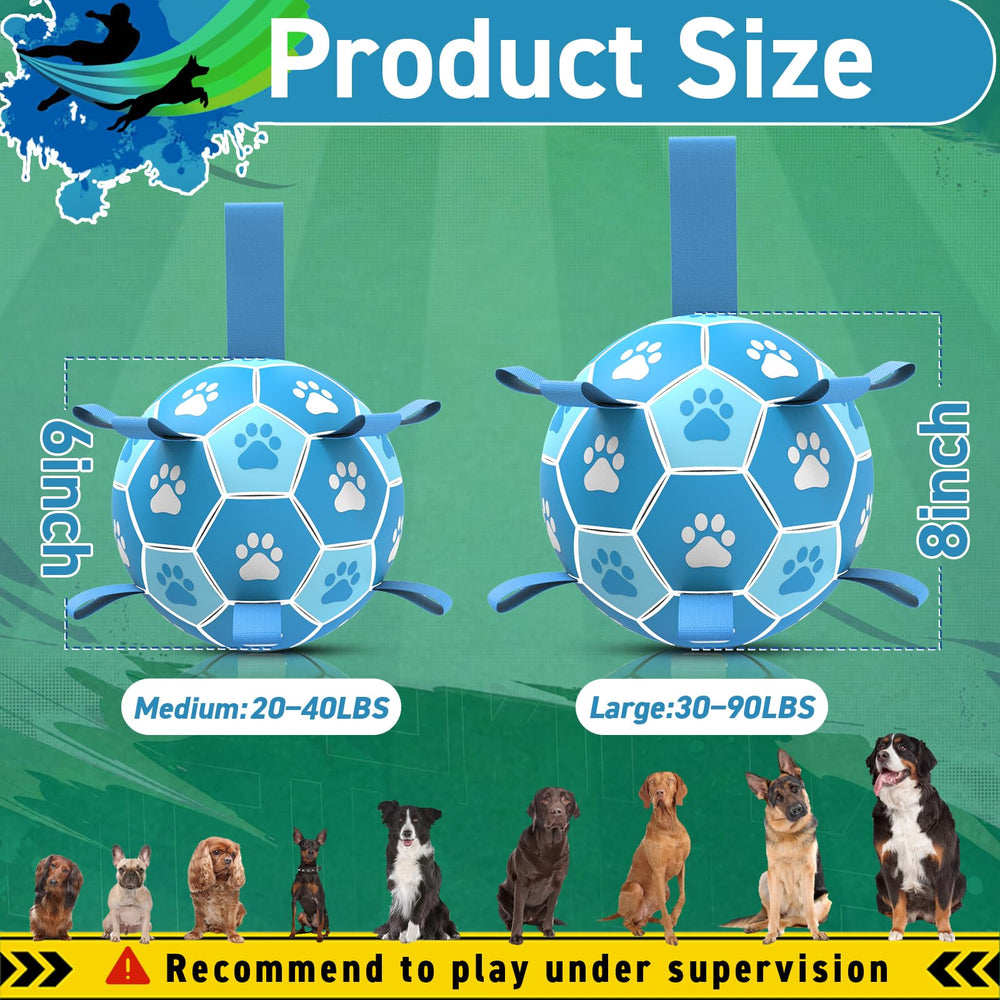 QDAN para agua: perfecta en playa o piscina para juegos.