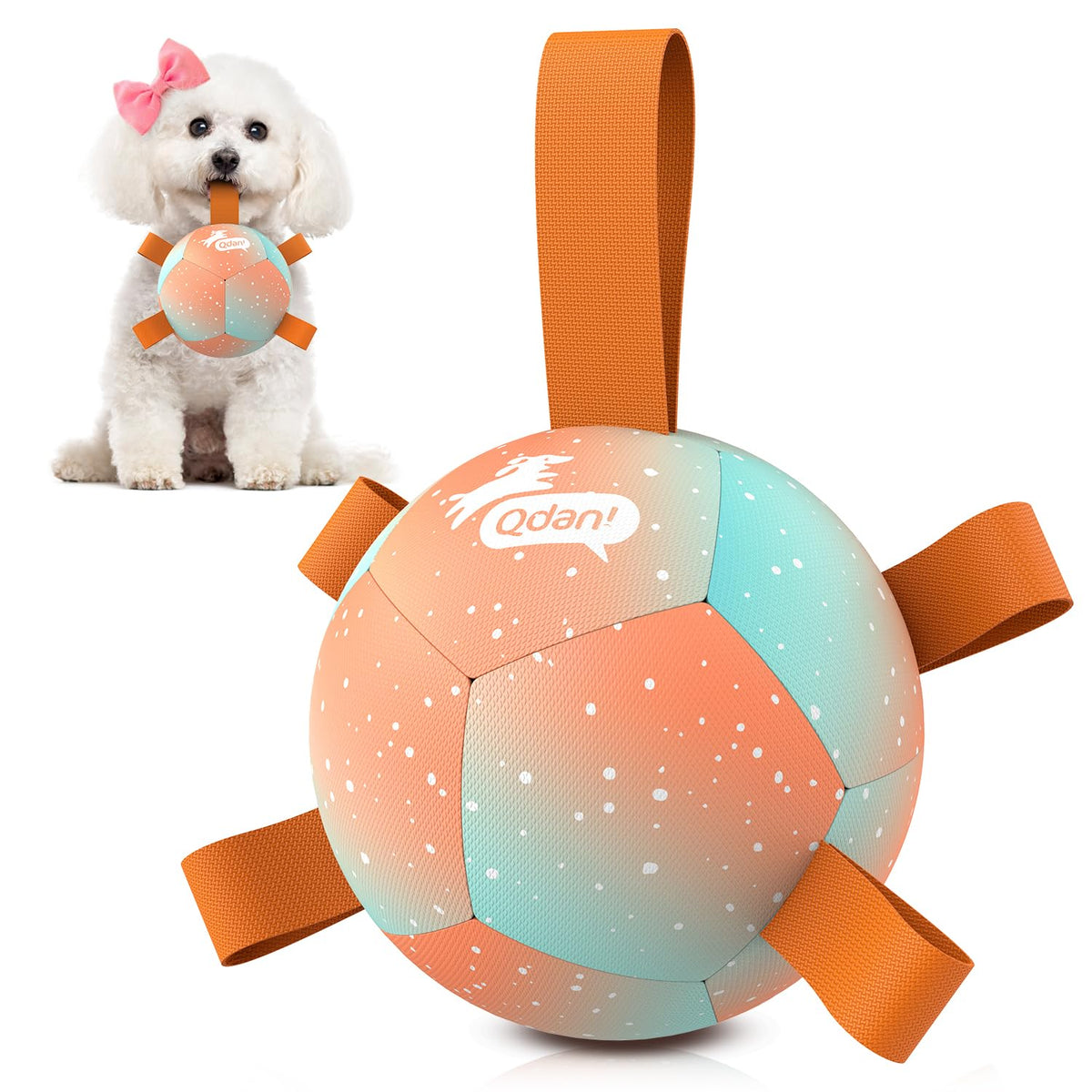 QDAN pelota para perros pequeños con correas, ideal para juego activo al aire libre.