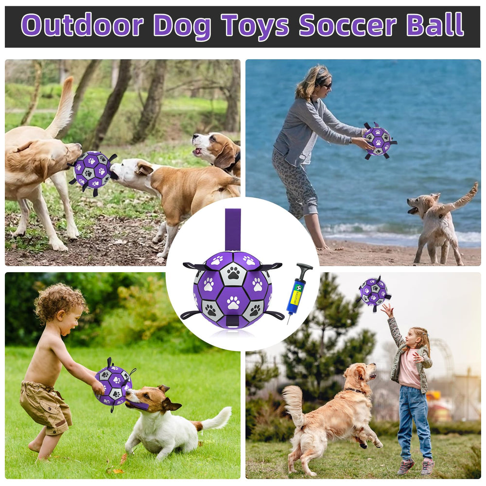 QDAN bola interactiva para perros, estimula la mente y la actividad