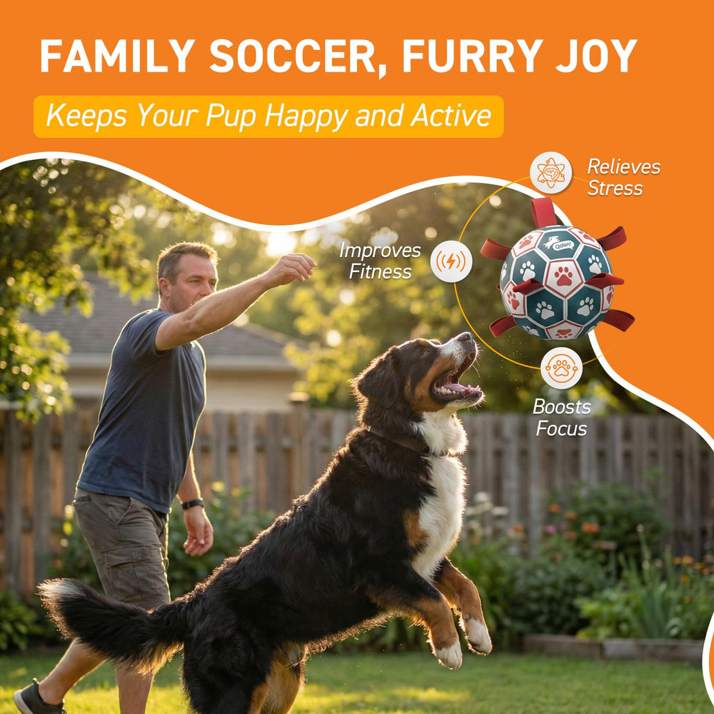 QDAN balón de perros con correa, juguete interactivo ideal para buscar y entrenar.