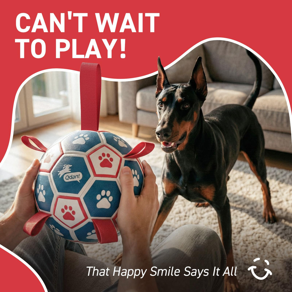 QDAN balón apto para juegos en agua, mantiene a tu perro activo.