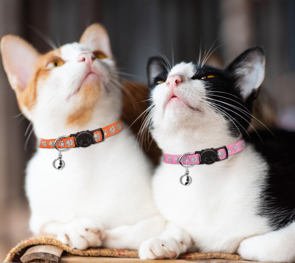 Diseño de gatito en collar QDYU, cómodo y adorable.