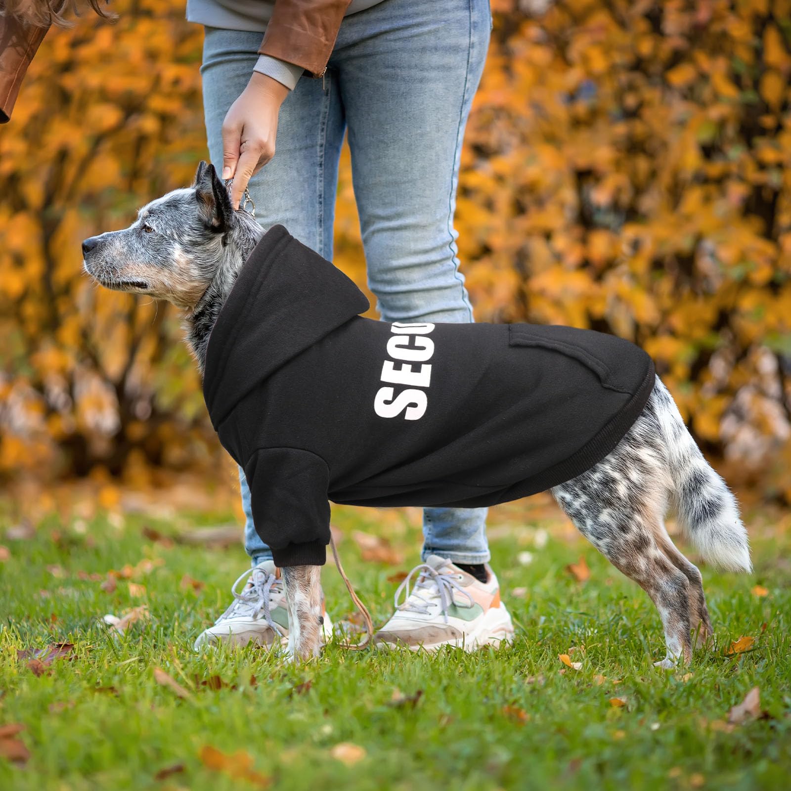 QDYU sudadera con interior suave de felpa para mayor comodidad en paseos.